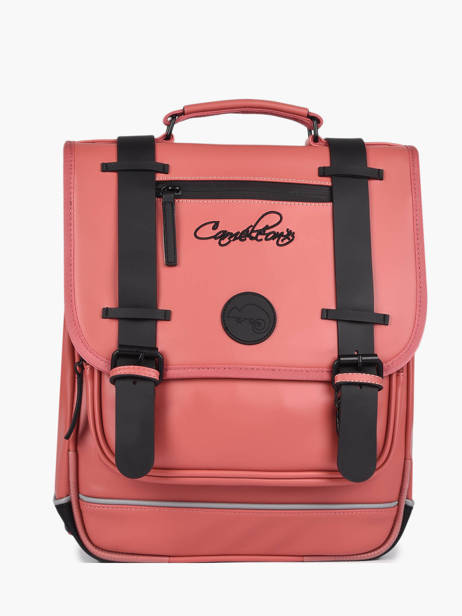 2-compartment  Backpack Cameleon Pink vintage north PBVWSD38