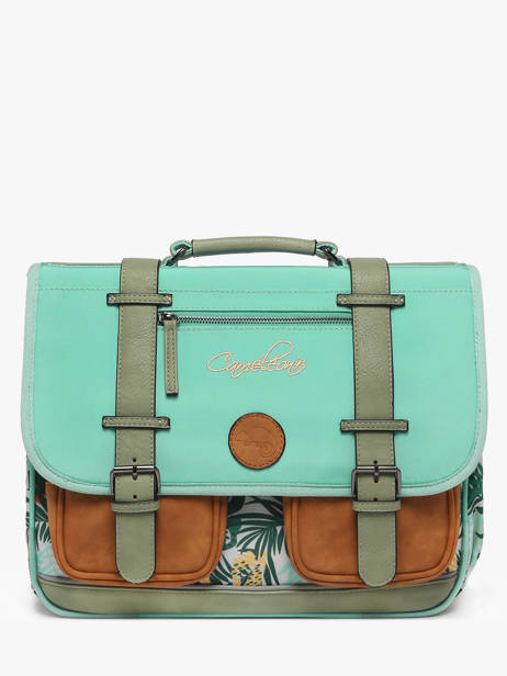 Boekentas 2 Compartimenten Cameleon Groen vintage fantasy PBVGCA38