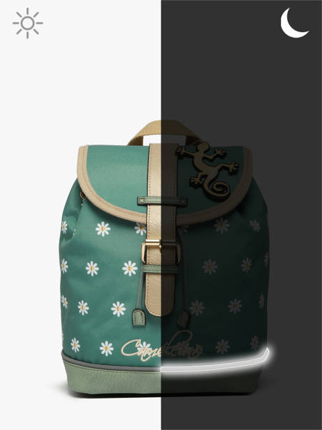 Sac à Dos 1 Compartiment Cameleon Vert vintage fantasy SD25 vue secondaire 6