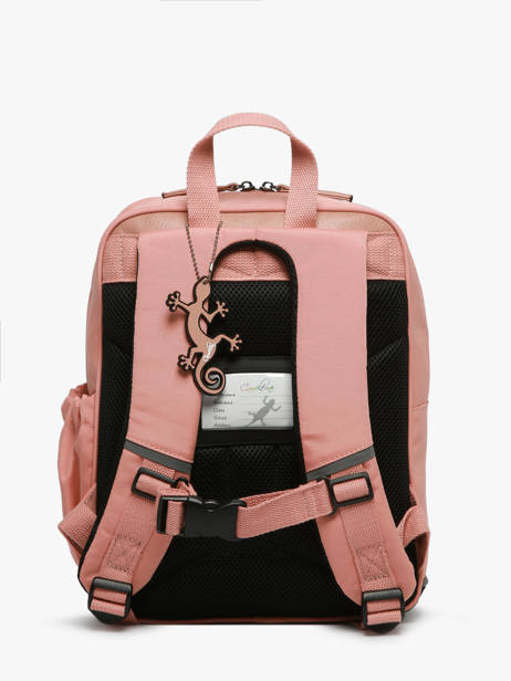 Sac à Dos 2 Compartiments Cameleon Rose vintage fantasy SD33 vue secondaire 4
