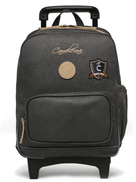 2-compartment Wheeled Schoolbag Cameleon Gray vintage urban SR40 other view 7