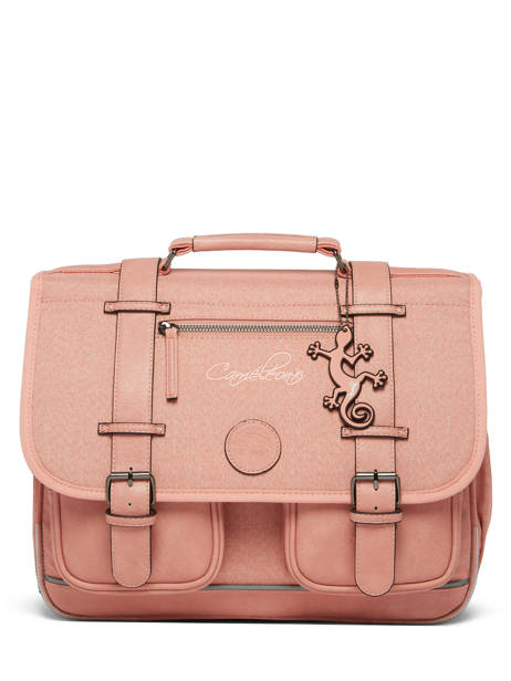Boekentas 2 Compartimenten Cameleon Roze vintage color CA38 ander zicht 5