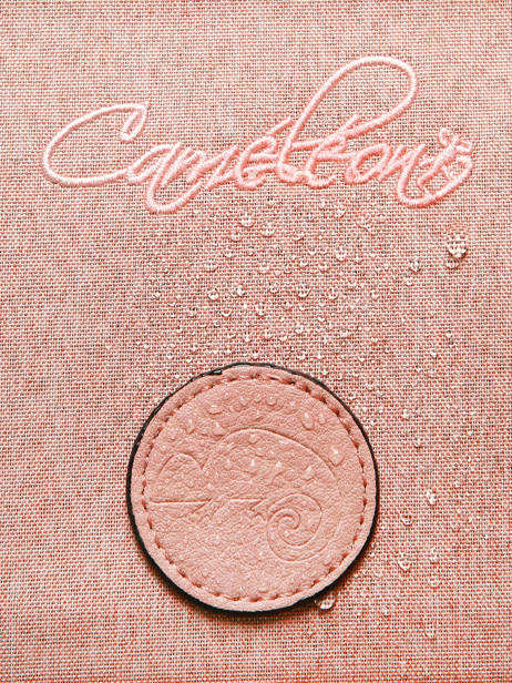 Boekentas 2 Compartimenten Cameleon Roze vintage color CA38 ander zicht 6