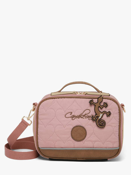 Lunch Bag Cameleon Pink vintage fantasy BL24