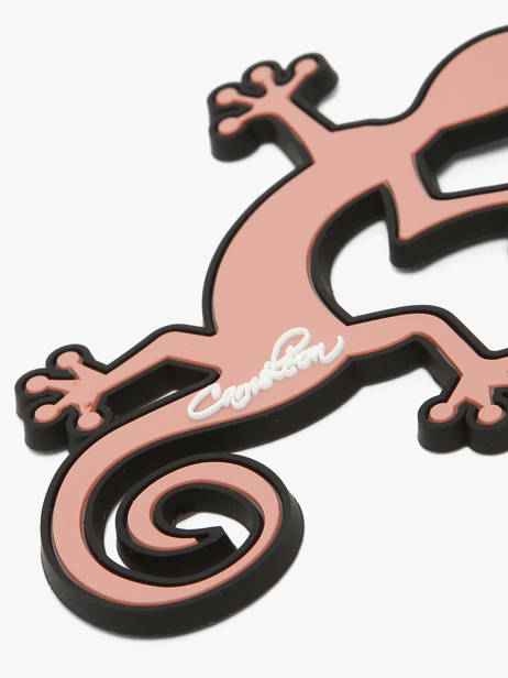 Porte-clefs Cameleon Rose vintage fantasy PCLE vue secondaire 1