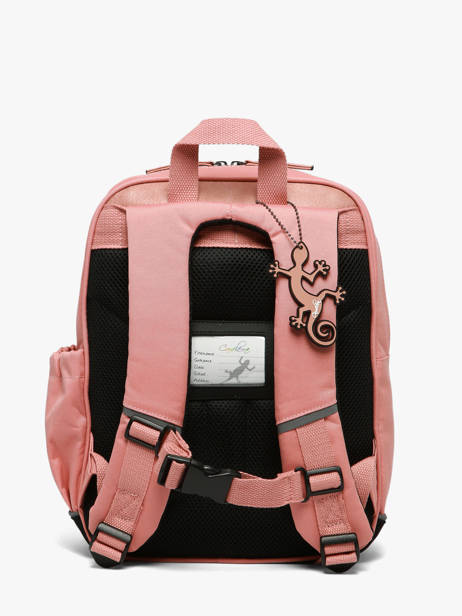 Rugzak 1 Compartiment Vintage Fantasy Cameleon Roze vintage fantasy SD33 ander zicht 4