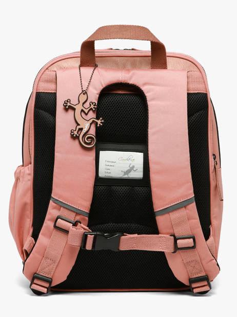 Rugzak 2 Compartimenten Vintage Fantasy Cameleon Roze vintage fantasy SO40 ander zicht 4