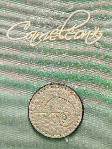 Rugzak 2 Compartimenten Vintage Fantasy Cameleon Groen vintage fantasy SO40 ander zicht 7