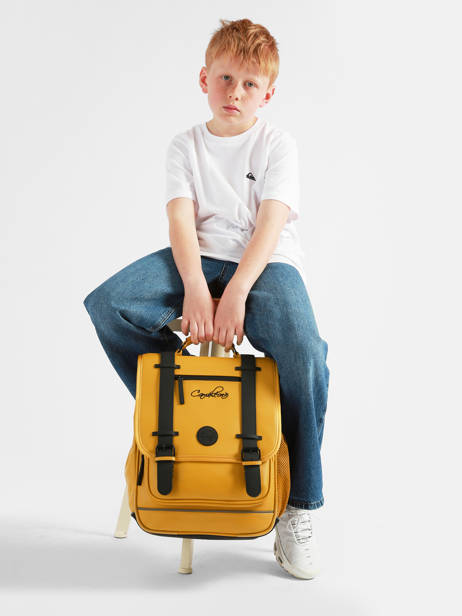 2-compartment Vintage North Backpack Cameleon Yellow vintage north SD39 other view 2