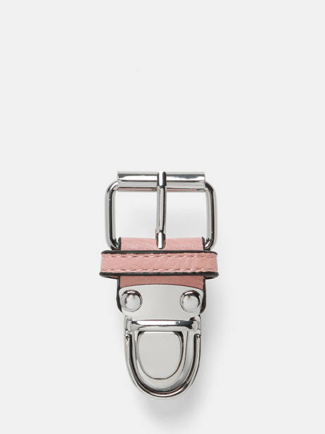 Sluitgesp Vintage Cameleon Roze vintage VACC01