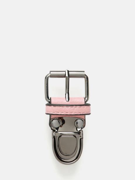 Sluitgesp Vintage Cameleon Roze vintage VACC01
