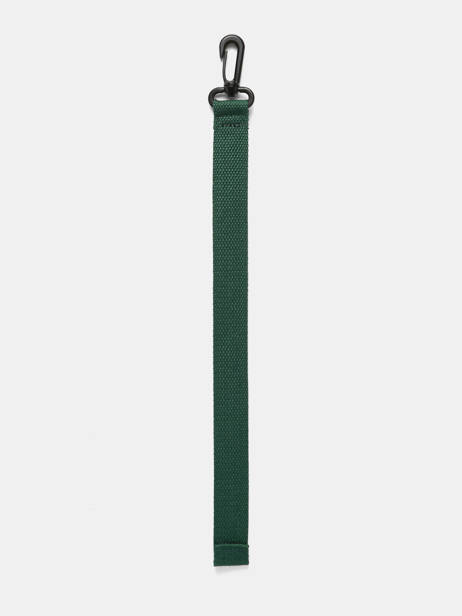 Strap Section Sr40 Cameleon Green vintage VACC04