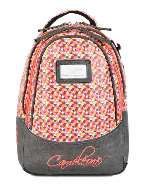Backpack For Kids 2 Compartments Cameleon Gray retro RET-SD31