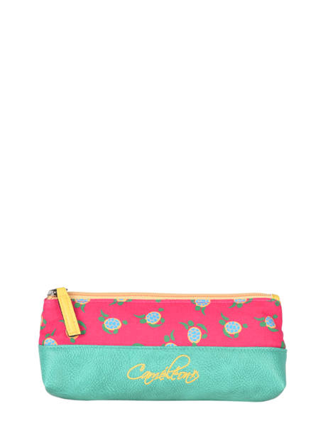 Pencil Case For Kids 1 Compartment Cameleon Green retro TROU