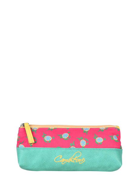 Pencil Case 1 Compartment Cameleon Green retro PBRETROU