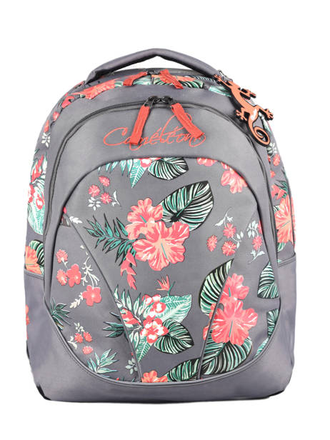 Backpack For Kids 2 Compartments Cameleon Gray actual SD43