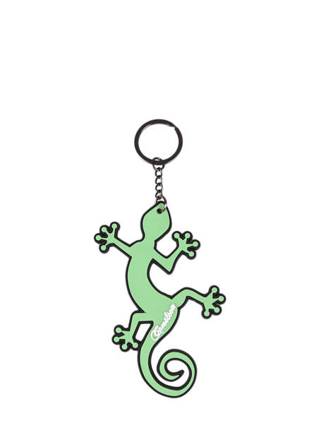 Porte-clefs Cameleon Gris actual PBBAPCLE