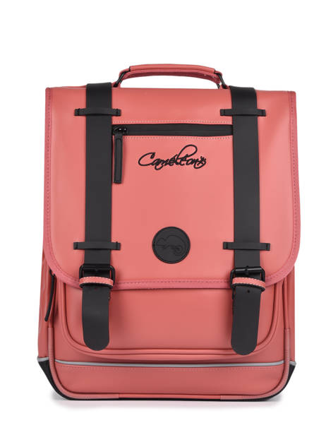Vintage North Backpack Cameleon Pink vintage north SD41