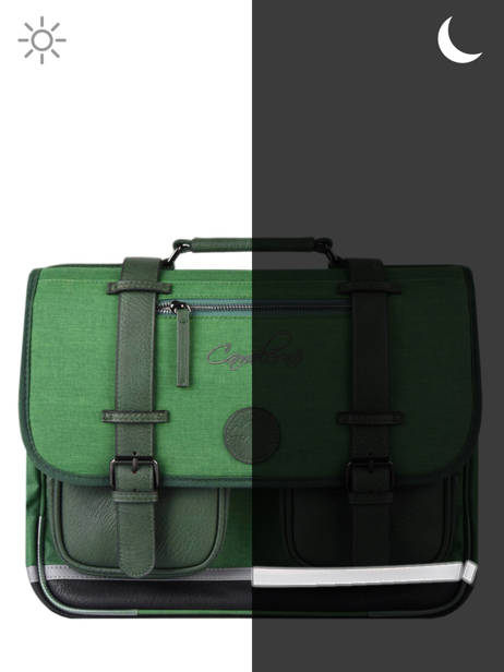 Satchel 2 Compartments Cameleon Green vintage color CA38 other view 1