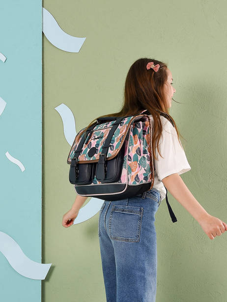 Boekentas Meisje 2 Compartimenten Cameleon Roze vintage fantasy CA38