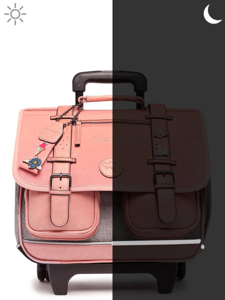 2-compartment  Wheeled Satchel Cameleon Pink vintage pin's CR38 other view 8
