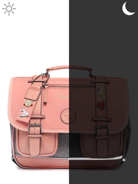 2-compartment  Satchel Cameleon Pink vintage pin's CA35 other view 7