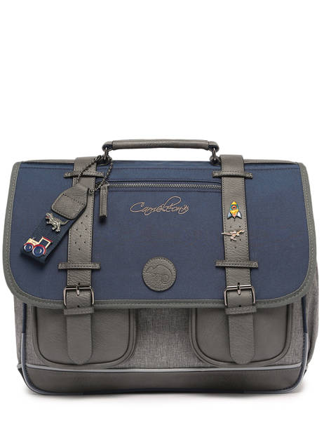 3-compartment  Satchel Cameleon Multicolor vintage pin's CA41