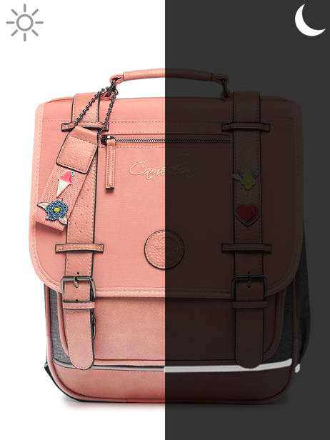 2-compartment  Backpack Cameleon Pink vintage pin's SD39 other view 8