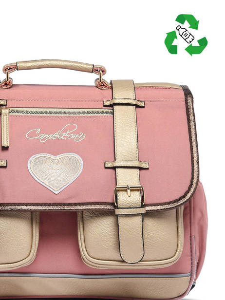 Boekentas Kinderen 2 Compartimenten Cameleon Roze vintage fantasy CA35 ander zicht 3