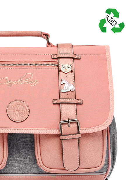 2-compartment  Satchel Cameleon Pink vintage pin's CA35 other view 2