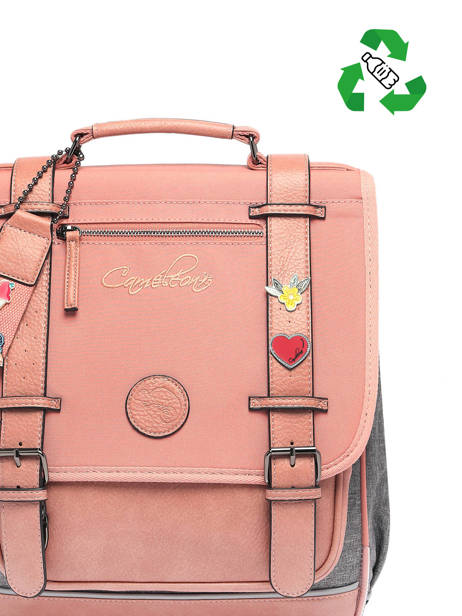 2-compartment  Backpack Cameleon Pink vintage pin's SD39 other view 3