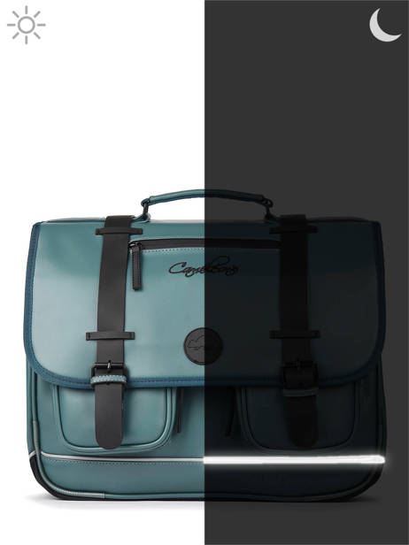 2-compartment  Satchel Cameleon Multicolor vintage north PBVWCA38 other view 8