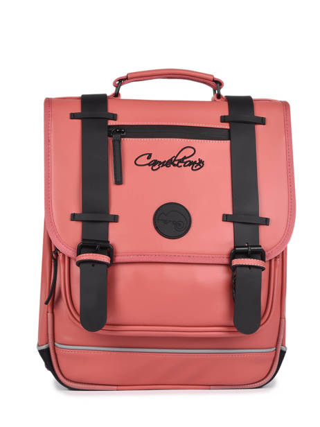 Rugzak 2 Compartimenten Cameleon Roze vintage north PBVWSD38