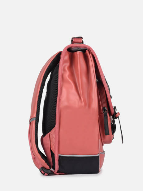 2-compartment  Backpack Cameleon Pink vintage north PBVWSD38 other view 4