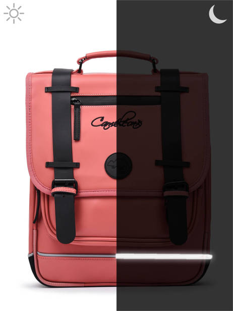 2-compartment  Backpack Cameleon Pink vintage north PBVWSD38 other view 8