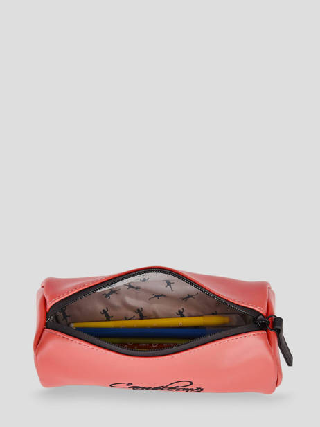 1 Compartment Pouch Cameleon Pink vintage north PBVWSTRO other view 1