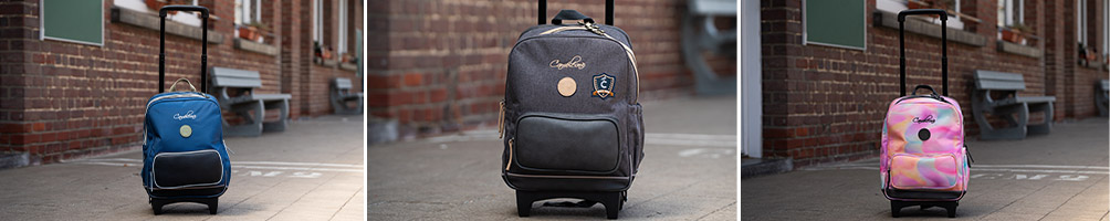 sac a dos cameleon